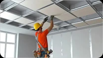 videoImage