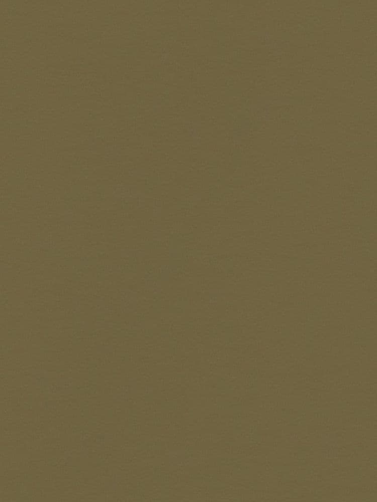 Color Shade Green