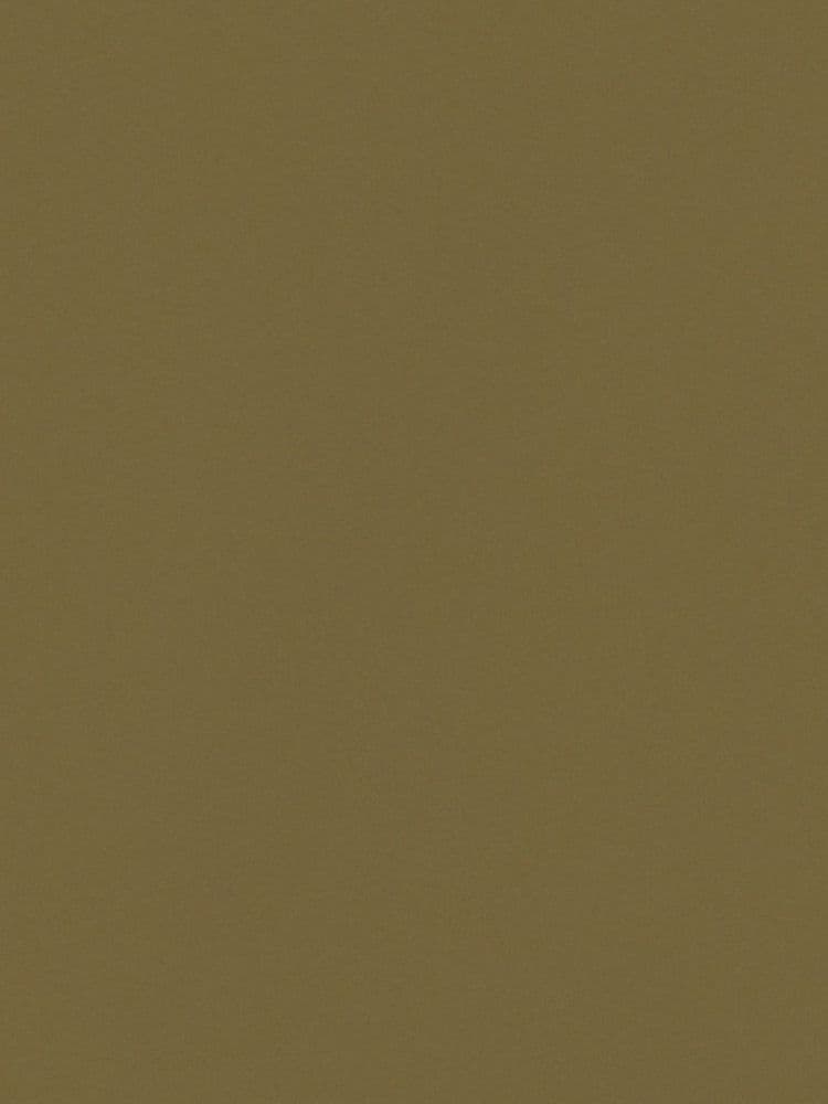 allLatestShade