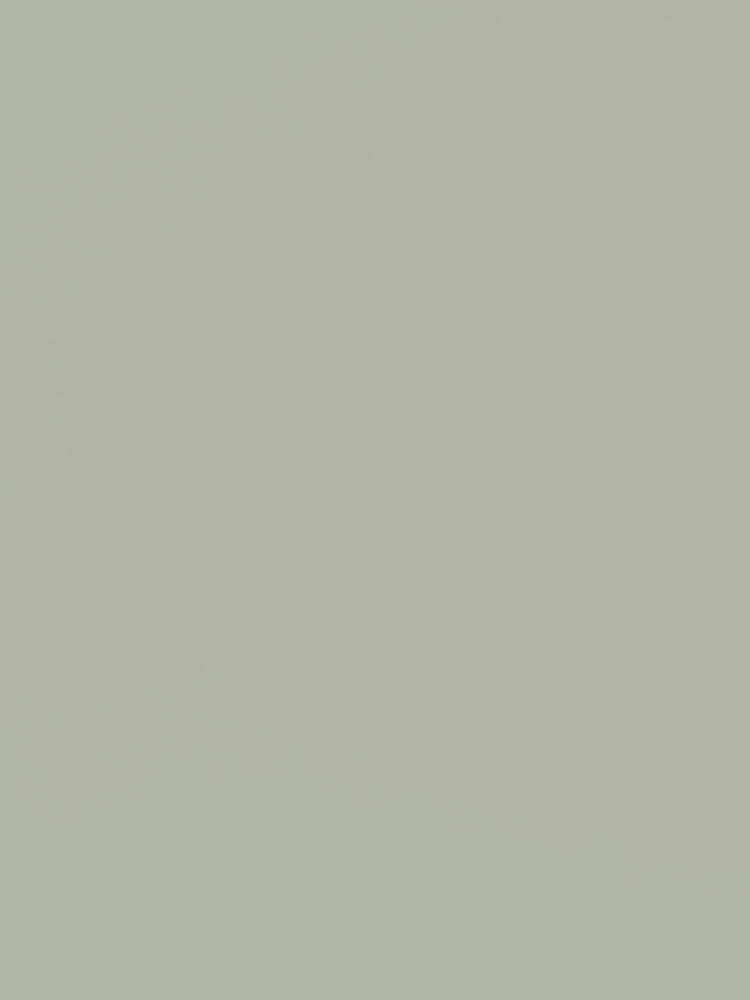 Color Shade Green